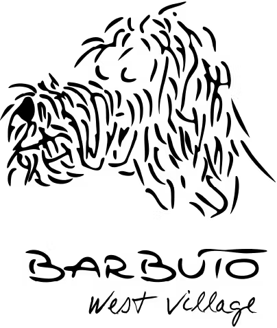 Barbuto